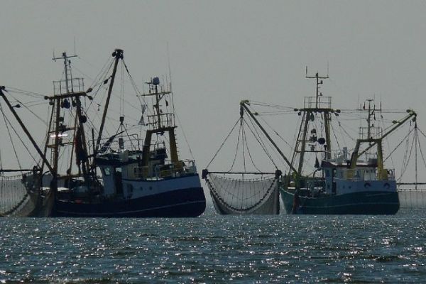 European Commission report outlines 2020-2023 achievements against illegal fishing