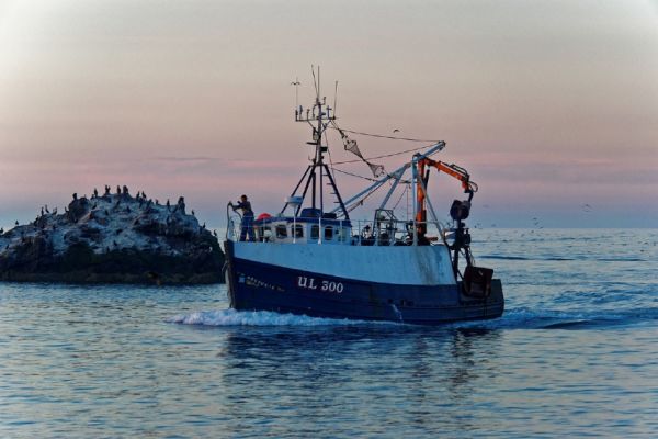 Fisheries New Zealand seeks feedback on proposed catch limits for 2024