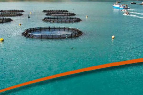 Australian fisheries and aquaculture production buoyed by continued growth in 2022