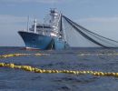EU fishing sector denounces lack of transparency and expertise in developing taxonomy standards
