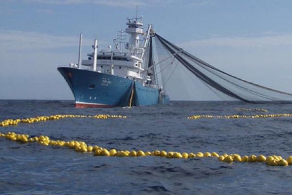 Europêche says report on fisheries decarbonisation misses the mark
