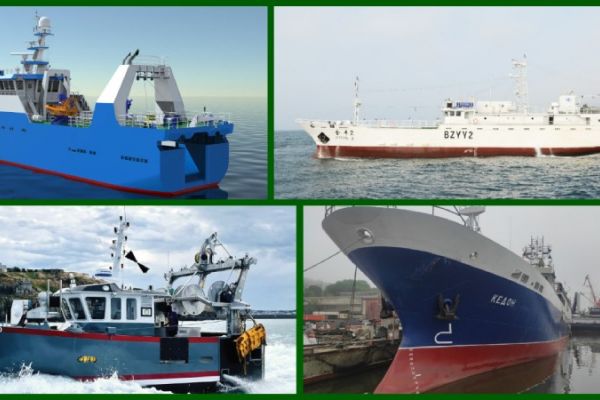 Fishing Vessel News Roundup | August 1 – Chinese tuna boats, new Russian trawler design and more