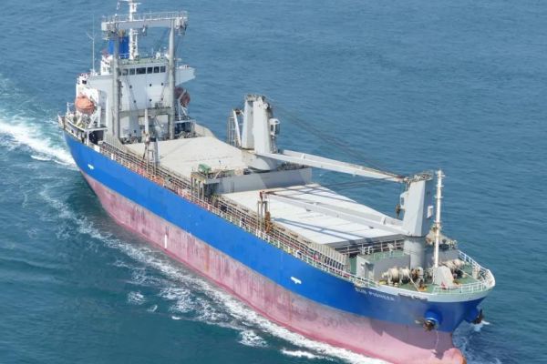 Shipowner, master convicted in Australia over vessel boarding mishap leading to serious injury