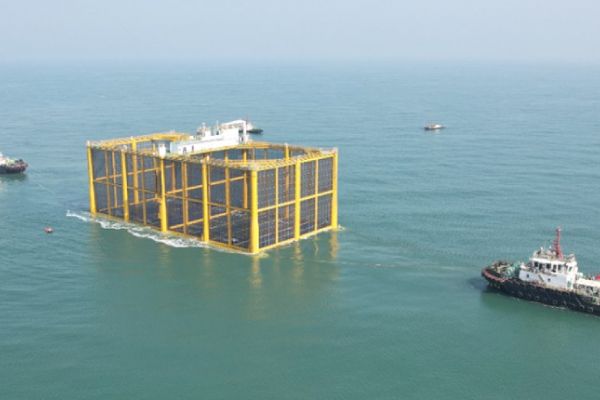New submersible salmon pen deployed in Chinese offshore waters