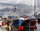 Deep-sea fishing ban threatens economic viability of EU longline fleet