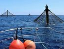 New US legislation to benefit offshore aquaculture