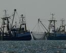 EU cites Trinidad and Tobago as non-cooperating country in campaign against illegal fishing