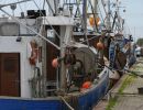 EU fisheries control system to undergo major revamp
