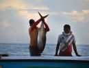 EU-Mauritius fisheries protocol extended for six months