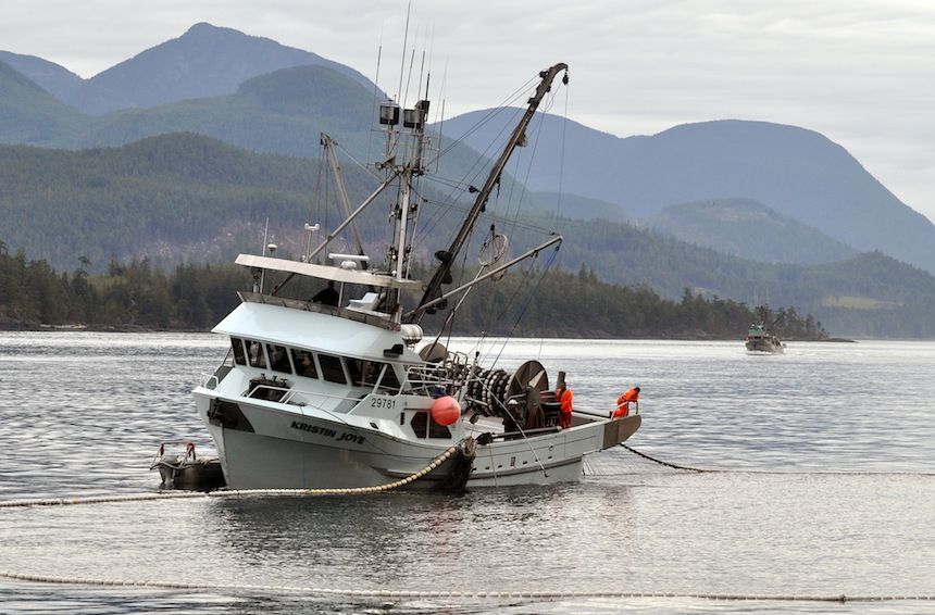 The purse seiners must comply with conservation measures