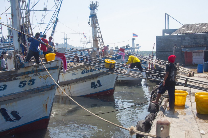 COLUMN  A practical fishing boat for developing nations [Fishing for a  Living] - Baird Maritime