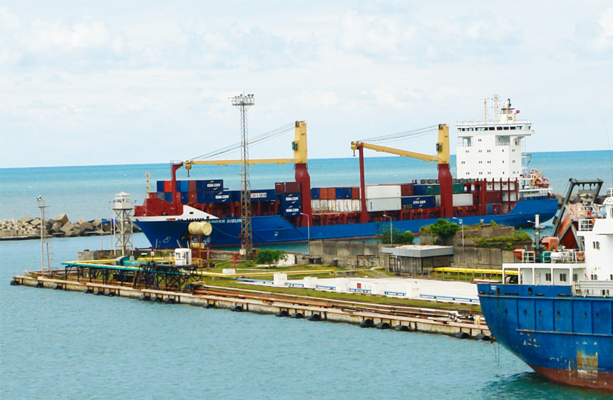 APM Terminals to develop new bulk cargo facility at Georgia's Poti Sea Port  - Baird Maritime