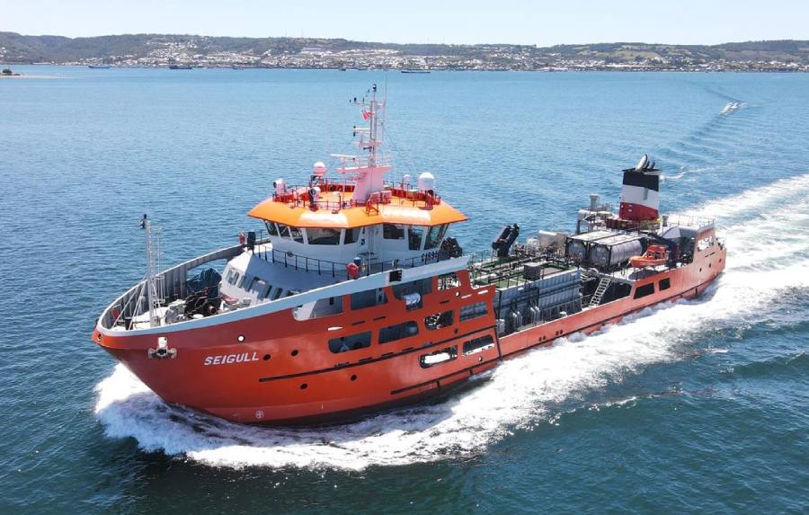 Revisión del barco |  Seigull – Barco pozo grande para empresa salmonicultora chilena