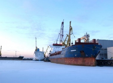 Ukrainian seaports handled less cargo and more ships in first half 