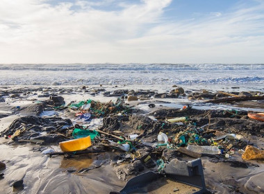 beach pollution rubbish marine environment